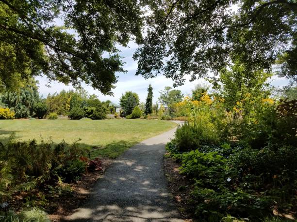 istock asphalt trail in the shade and trees and flowers 826005752