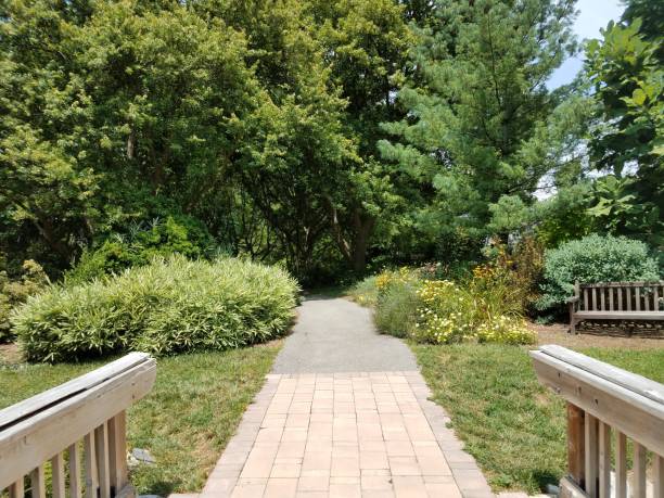 istock brick path and bridge with grasses and flowers 826005862