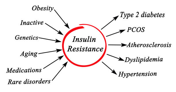 Insulin Resistance Insulin Resistance polycystic ovary syndrome photos stock pictures, royalty-free photos & images