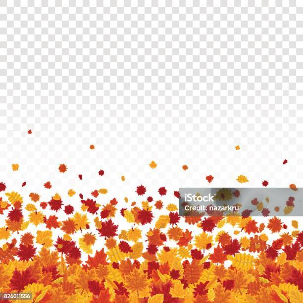 Autumn Leaves On Transparent Background Stock Illustration - Download Image Now - Falling, Autumn, Leaf