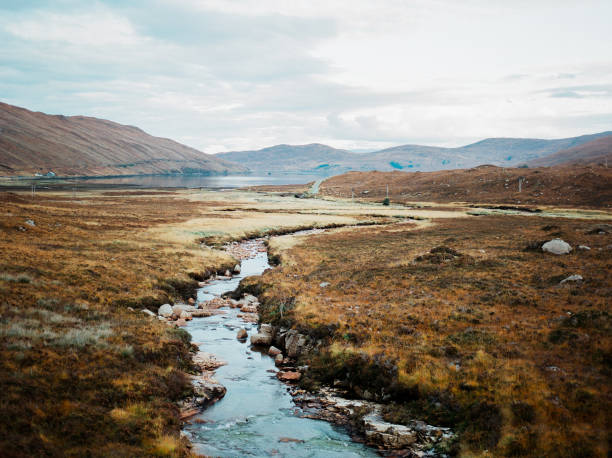 istock Creek and Field in Scotland 826018700