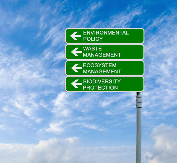 istock Road sign to environmental policy 826018960