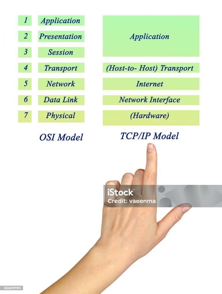 Osi Reference Model And Tcpip Model Layers Stock Photo - Download Image Now  - Instructions, Art, Business - iStock