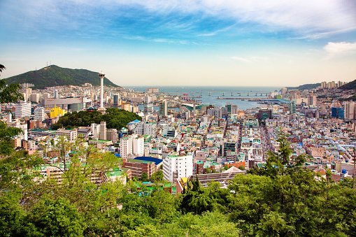 Busan Jung-gu wide aerial view with tower and a clear sky.
