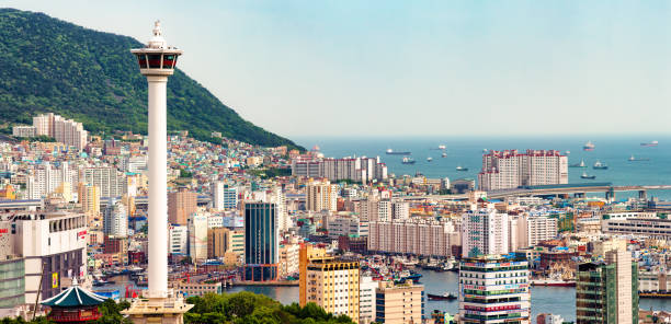 Busan Jung-gu aerial view panorama with tower and a clear sky.