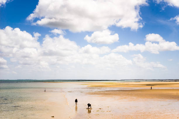Seashore at low tide with people cockle picking and strolling on the beach under a blue sky full of heavy white clouds.