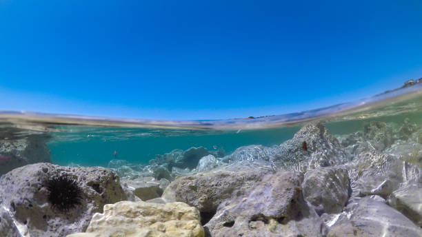 istock Half underwater in the sea. 826035872