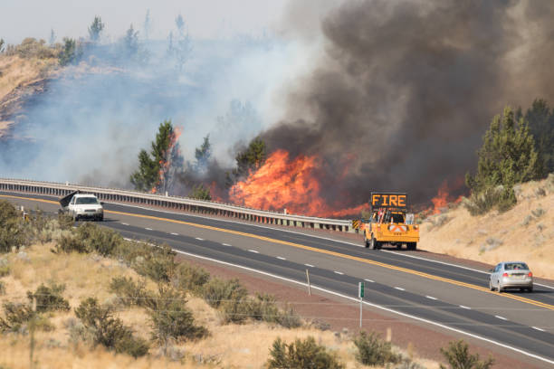 This image shows a wildfire raging through brush and trees near Highway 97, north of Madras, Oregon on 7/25/2017. Vehicle traffic was allowed to continue on the highway.
