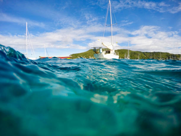 istock Bequia Port Elizabeth Bay 826035976