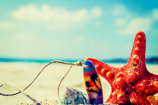 istock Star fish and necklace on the sand 826040672
