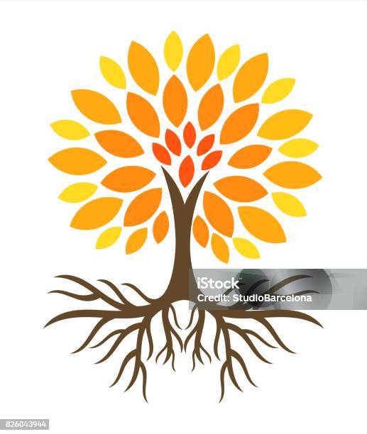 Autumn Tree Illustration Stock Illustration - Download Image Now - Tree, Root, Vector