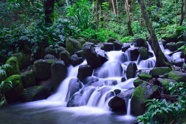 istock Kayak and hiking trip 826048722