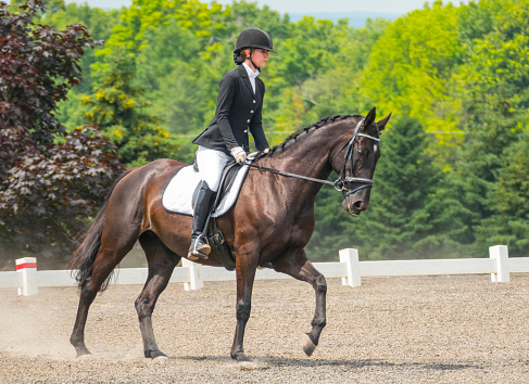 Skilled rider on magnificent steed in dressage exhibition