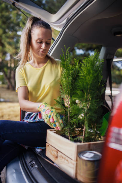 istock Female volunteer with seedlings 826058462