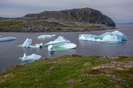 icebergs below Brimstone Head on Fogo Island, Newfoundland