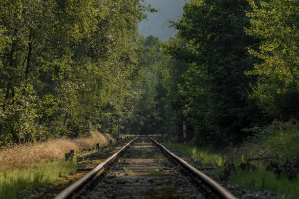 Old railway track near Telnice station in north Bohemia