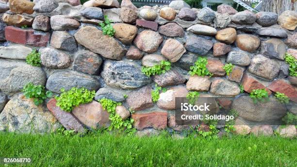 Vintage Garden Steinmauer Vom Anfang Des 20 Jahrhunderts Stockfoto und mehr Bilder von 1900-1909