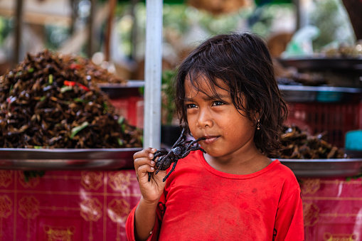 Cambodian little girl eating deep fried tarantula on a street market, Cambodia. Deep fried tarantulas are a delicacy in Cambodia.