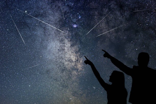 familia feliz está viendo lluvia de meteoros. casi cielo. - lluvia de meteoritos fotografías e imágenes de stock