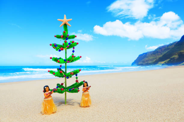 Sommer-Weihnachts-Fotohintergrund 2,1x1,5m – Hawaii Strand Motiv Für Feiern & Fotoshootings