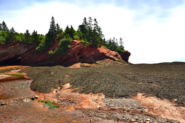 istock St. Martin's Sea Caves (New Brunswick Canada) 826104746