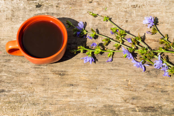 Cup with chicory drink and blue chicory flowers on rustic wooden table