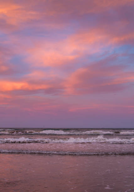 istock Purple and Pink  Color Clouds During Beach Sunset 826123098