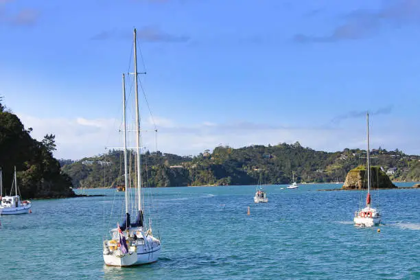 Beautiful day at the beach in Whangarai, New Zealand