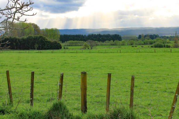 istock Farm Life 826127386