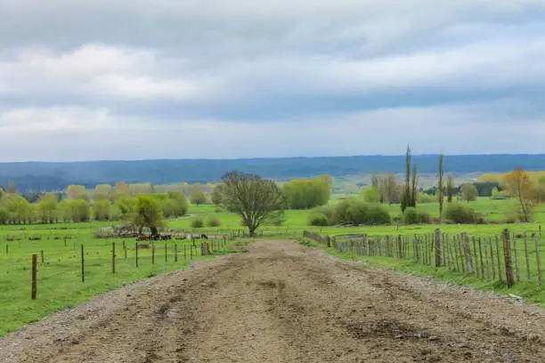 Beautiful day at a farm in New Zealand's northeast