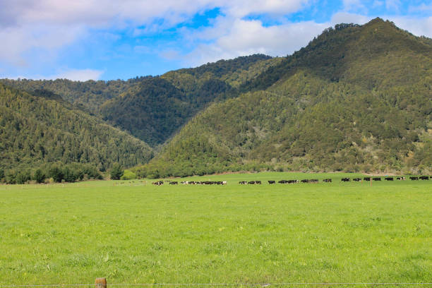 A Welcome Signpost on the road at the entrance to Takaka advises road users on the type of things they might meet on a country road and to Please take care.