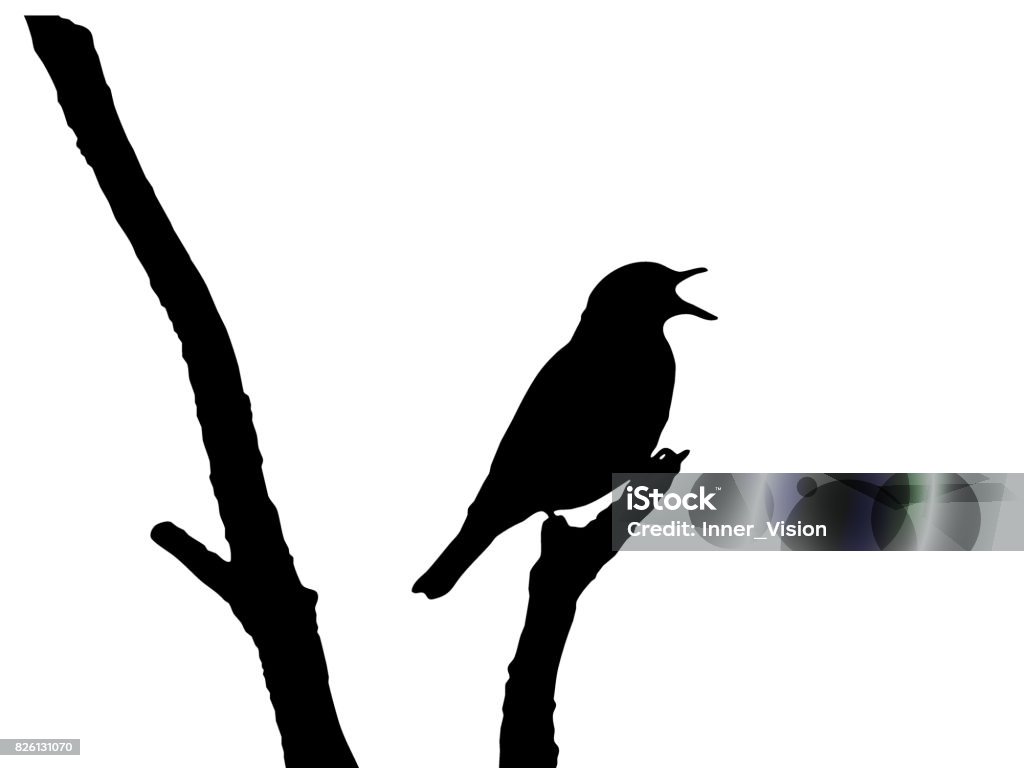 Song Thrush Vector Song thrush in a tree shape vector silhouette. Bird stock vector