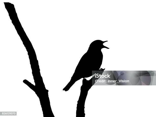 Song Thrush Vector Stock Illustration - Download Image Now - Bird, Outline, In Silhouette