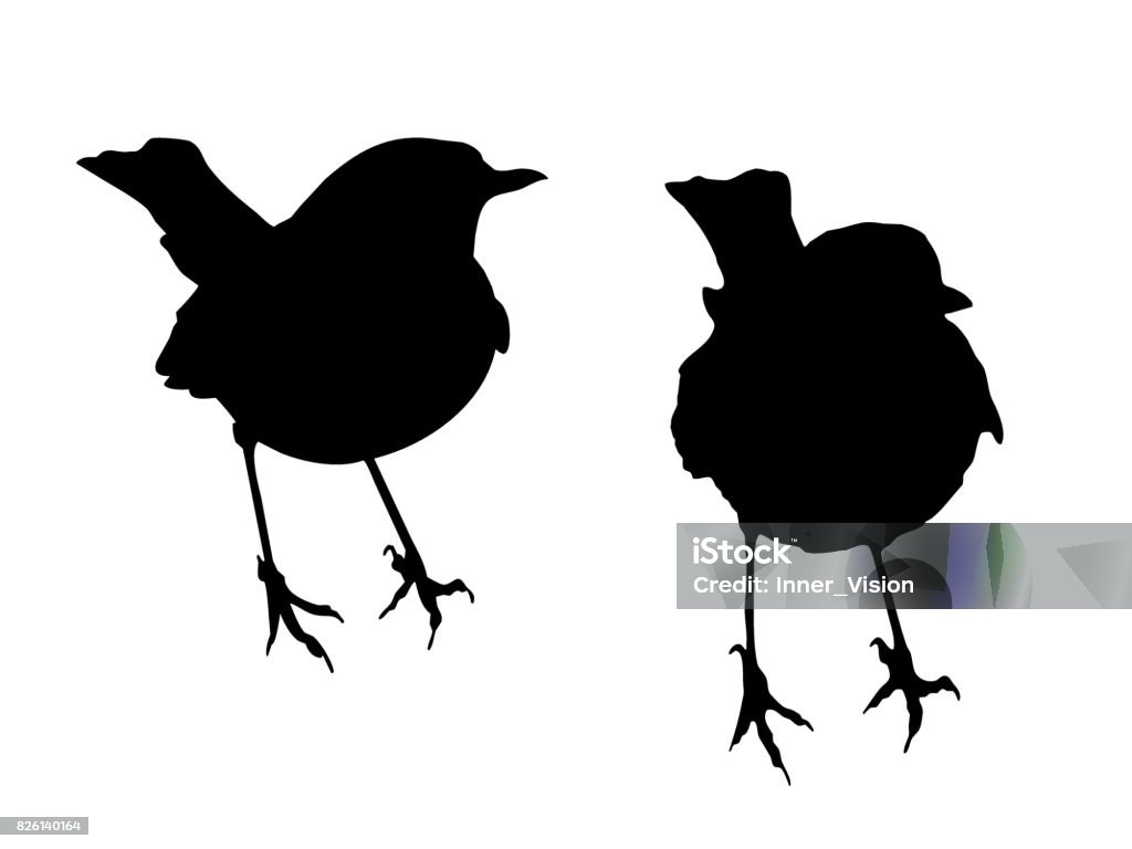 Two Robins - Shape Vectors Two robin shape vectors, black silhouettes on a plain white background. Robin stock vector