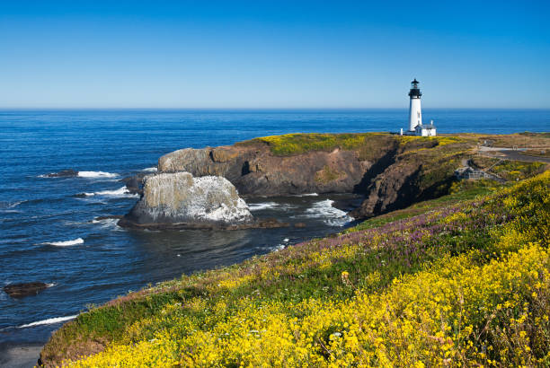 istock Yaquina Head Lighthouse, Oregon, USA 826141106