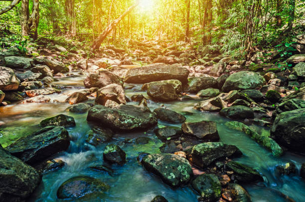 istock deep forest waterfall on mountain and sunshine in thailand 826159214
