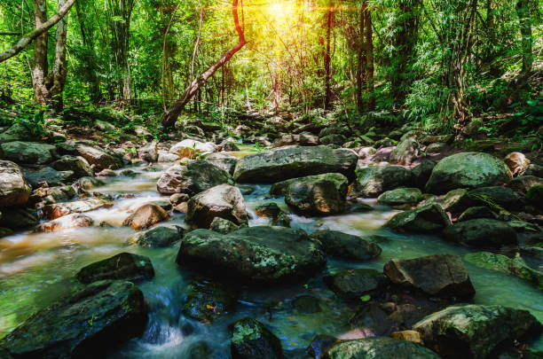 istock deep forest waterfall on mountain and sunshine in thailand 826159526