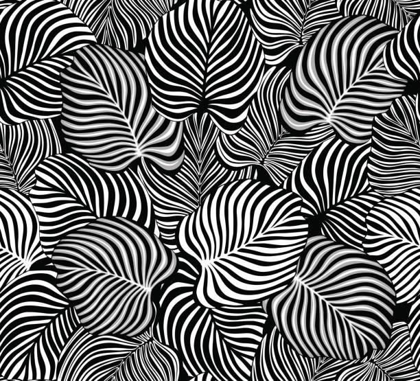 흑인과 백인 열 대 잎 원활한 패턴 - 흑백 일러스트 stock illustrations
