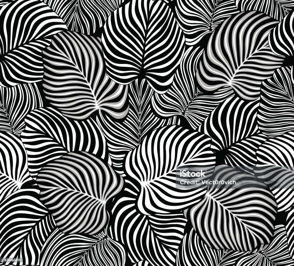 black and white tropical leaves seamless pattern Pattern stock vector