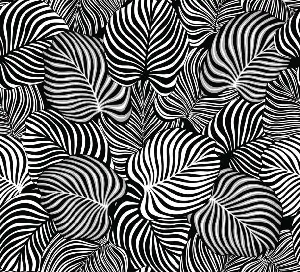 Vector illustration of black and white tropical leaves seamless pattern