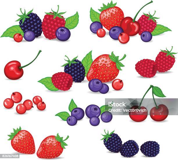 Berries Set Illustrazione Vettoriale Fragola Mora Mirtillo Ciliegia Lampone Ribes Rosso Le Bacche E Il Loro Set Di Combinazioni - Immagini vettoriali stock e altre immagini di Bacca