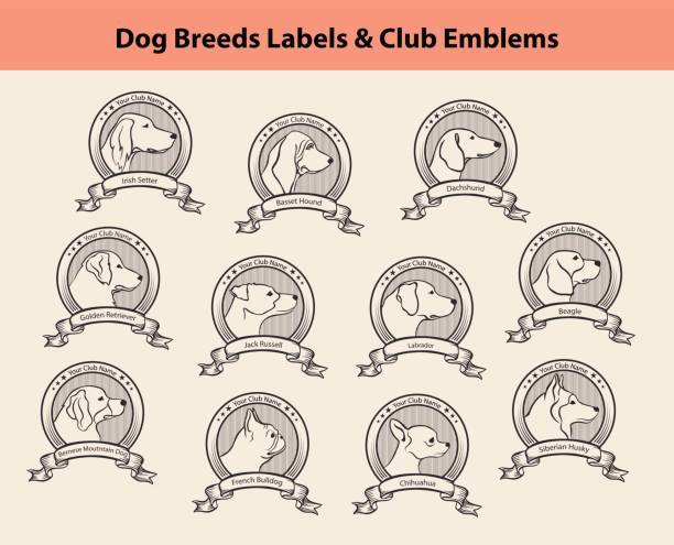 satz von hund züchtet etiketten, hund vereine embleme. profil-silhouette-hund steht abzeichen - dog malamute sled dog bulldog stock-grafiken, -clipart, -cartoons und -symbole