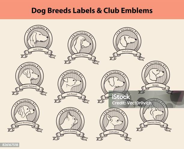 Set Of Dog Breeds Labels Dog Clubs Emblems Profile Silhouette Dog Faces Badges Stock Illustration - Download Image Now