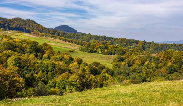 istock forest on hills in mountainous countryside valley 826171766