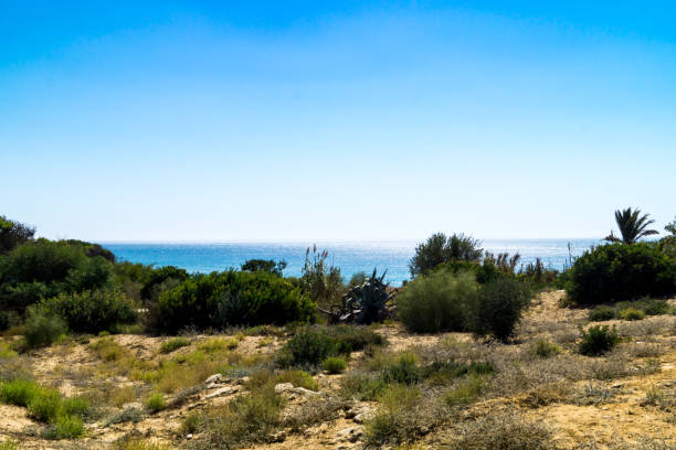 Scene of the Coastline in Andalusia