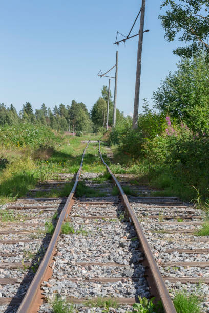 istock Old Railroad Tracks in nature. 826182186