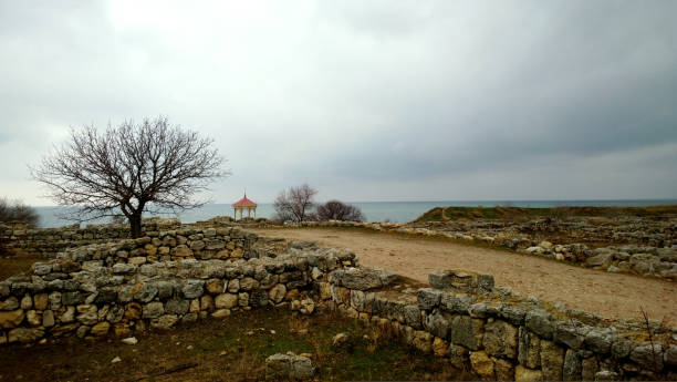 View of a tree and stone wall in Hersonissos Tauride in Crimea stock photo