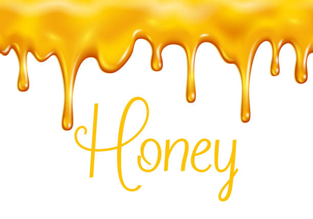 Vector sweet honey dripping for bakery shop Honey splash dripping sweet drops from bee honeycomb poster for beekeeping honey honey shop or bakery. Vector design of dropping honey syrup for desserts or cafeteria and patisserie cakes and cookies bee water stock illustrations