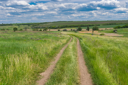 Earth road through fresh summer meadow near Dnipro city in central Ukraine