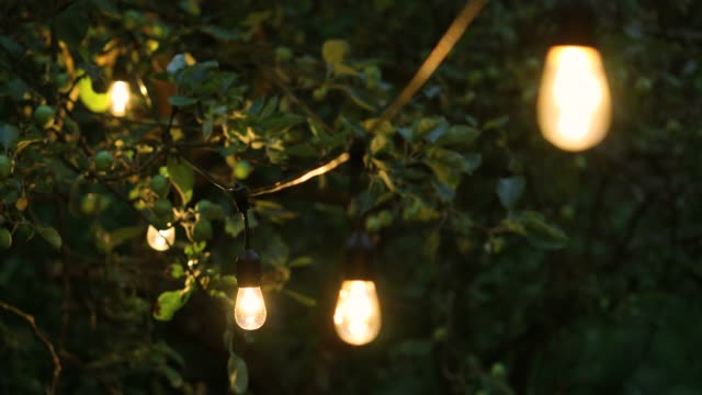 decorative string lights hanging in backyard for outdoor party